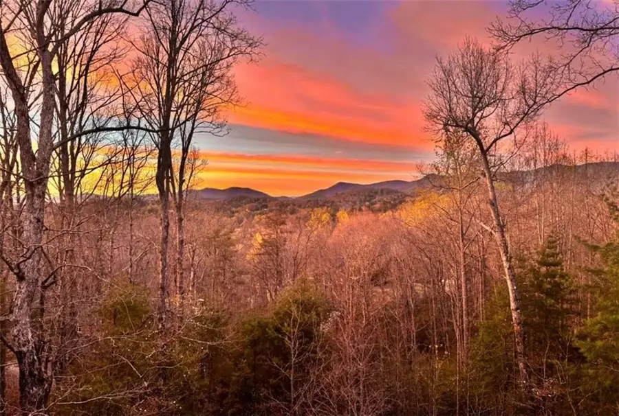 193 Nonchalant Lane, Blairsville, GA 30512 - #3