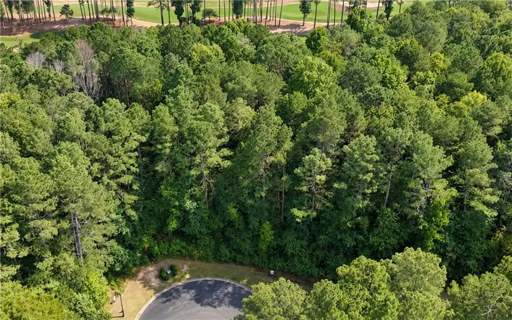 120 Hawks Court, Ball Ground, GA 30107 - #1