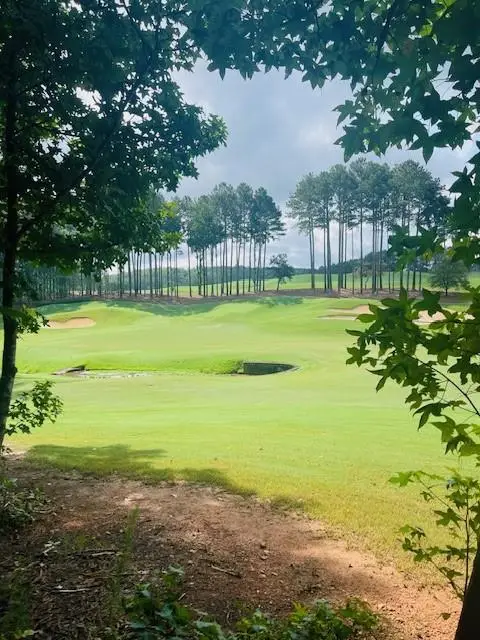 120 Hawks Court, Ball Ground, GA 30107 - #2