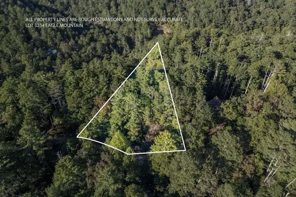 LT3234 Eagle Mountain, Ellijay, GA 30536