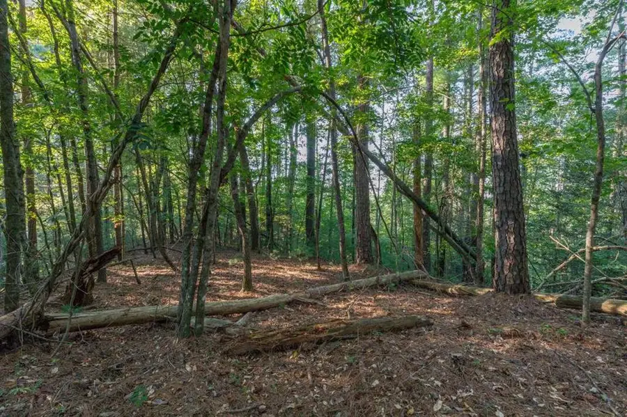 LT3234 Eagle Mountain, Ellijay, GA 30536 - #3