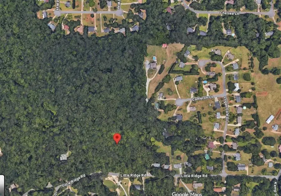6155 Little Ridge Road, Acworth, GA 30102 - #3