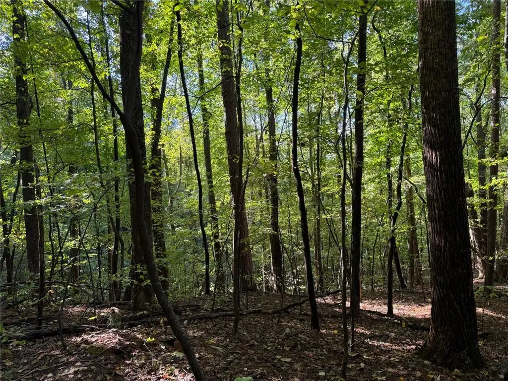 J349 Mountain View Court, Ellijay, GA 30536 - #1