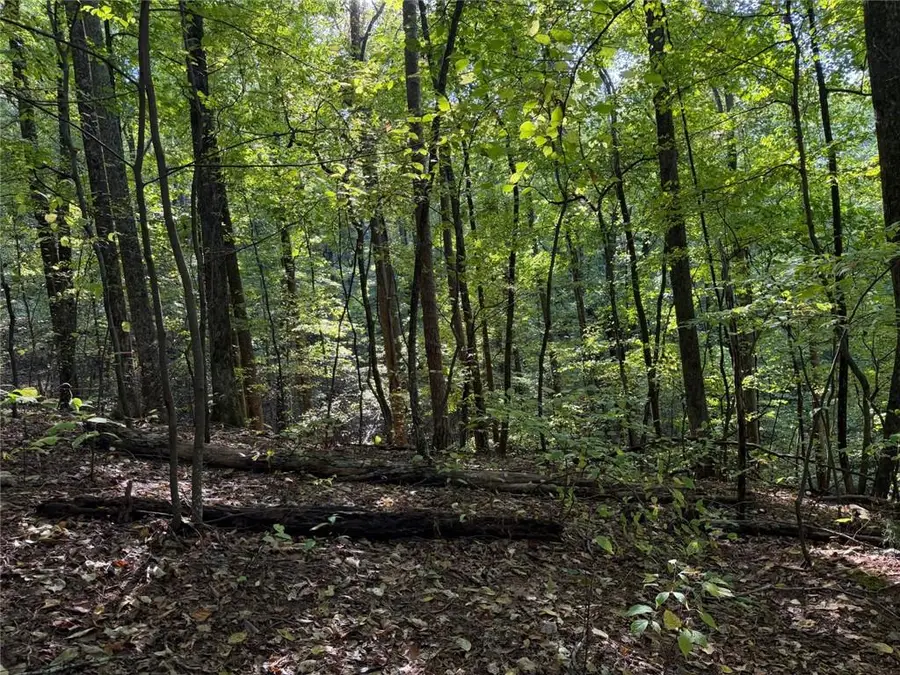 J349 Mountain View Court, Ellijay, GA 30536 - #2