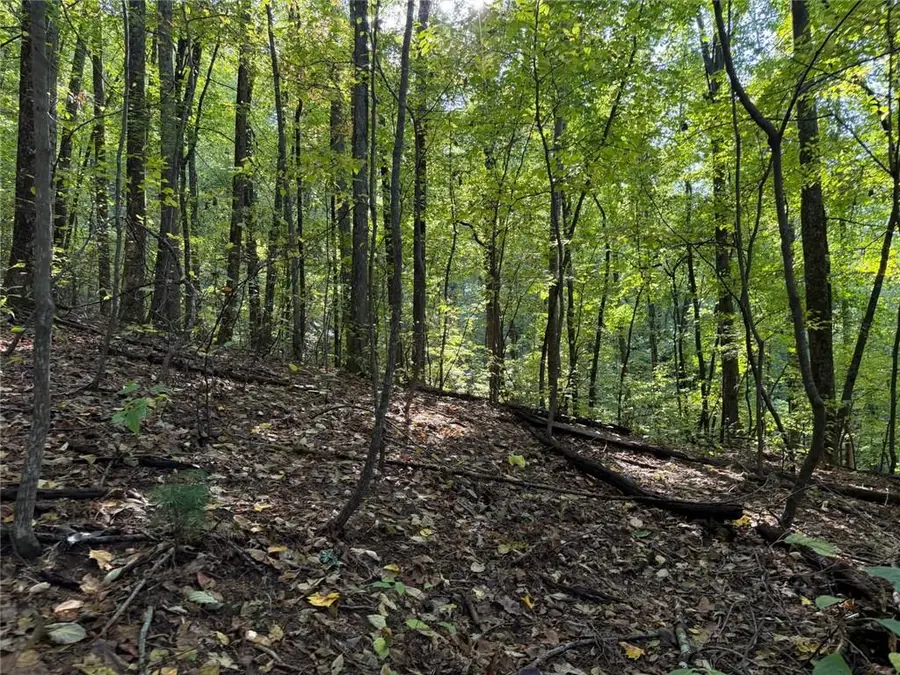 J349 Mountain View Court, Ellijay, GA 30536 - #3