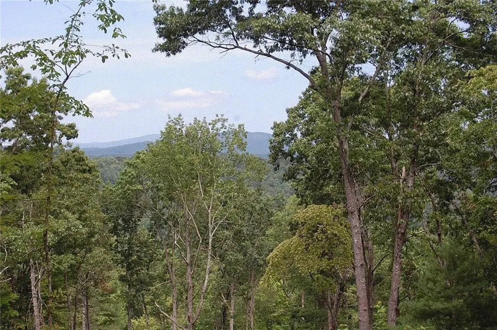 450 Back Pine Way, Ellijay, GA 30540 - #1