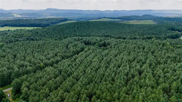 0 Tract 3 Back Valley Road, Lyerly, GA 30730