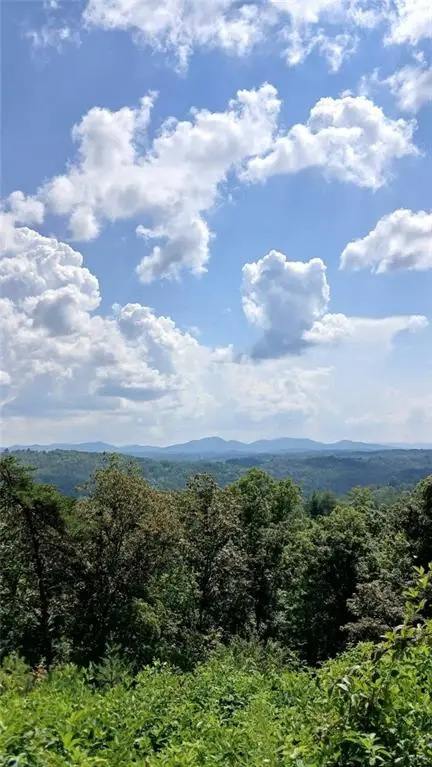Lot 23 Mountain Laurel Ridge, Mineral Bluff, GA 30559