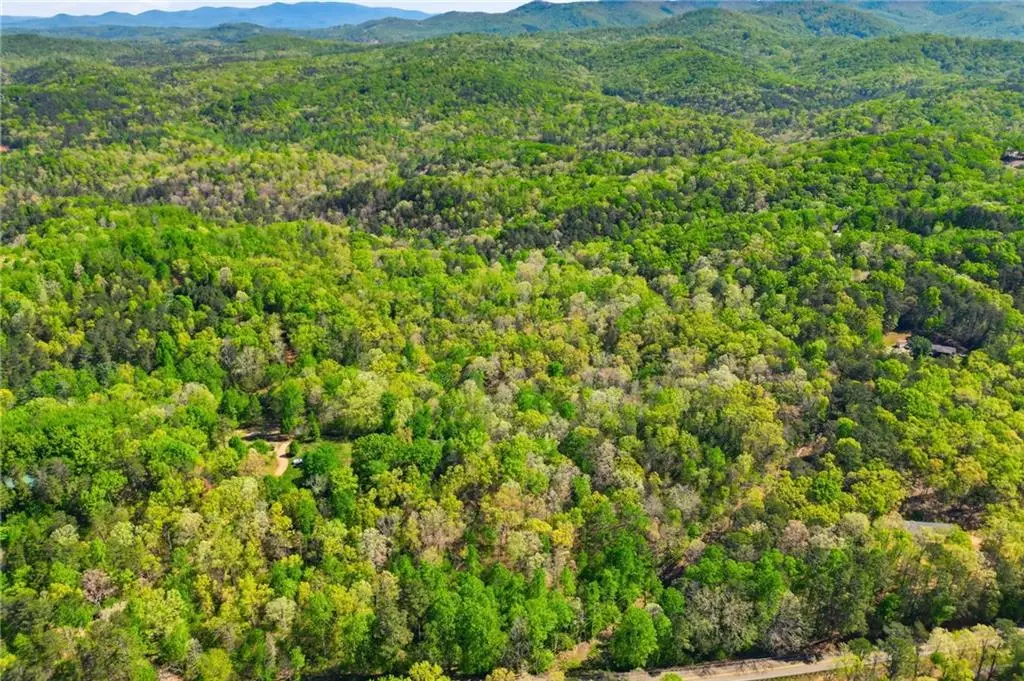 1933 Highway 136 W, Talking Rock, GA 30175 - #1