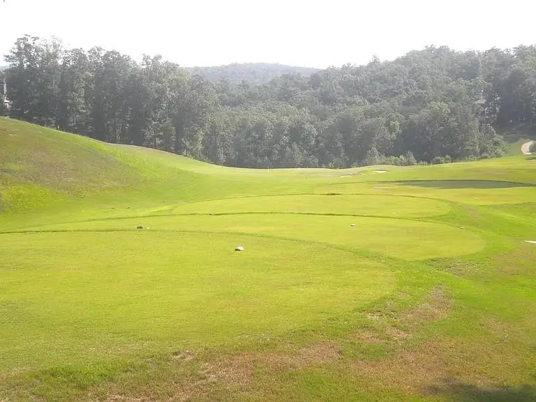 Lot 8 Ridgetop Court, Dawsonville, GA 30534 - #2