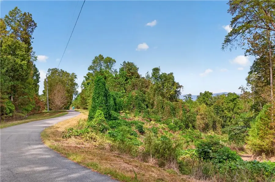 0 Weatherby Road, Ball Ground, GA 30107 - #3