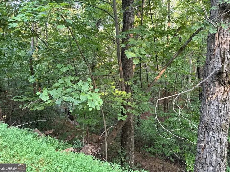 2333 Ford White Road, Gainesville, GA 30506 - #2