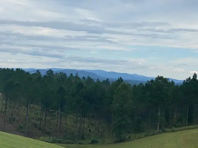 00 High River Road, Ellijay, GA 30540 - #3