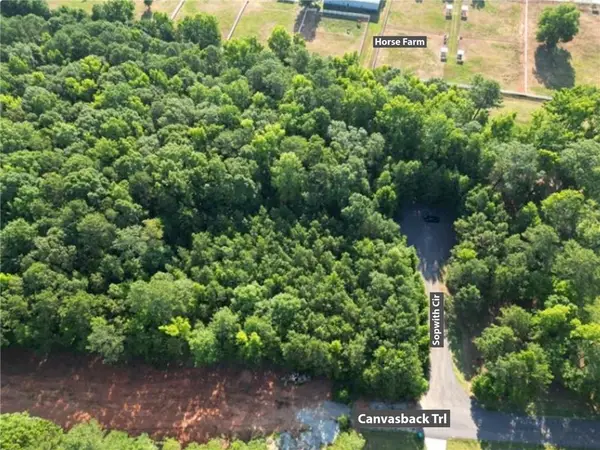 369 Canvasback Trail, Locust Grove, GA 30248
