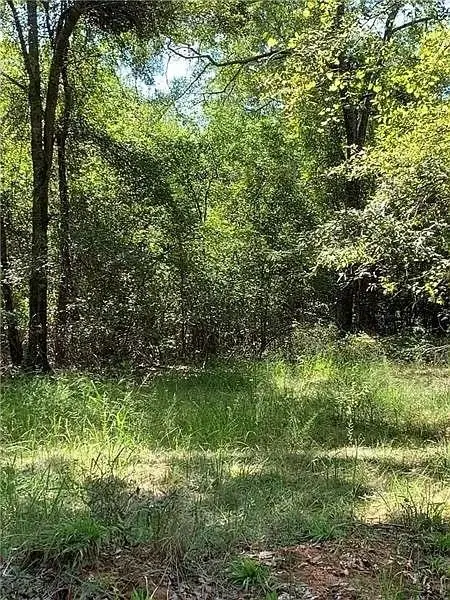 3515 Odessa Way, Loganville, GA 30052 - #3