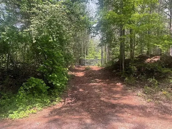 0 Butler Bridge Road, Mcdonough, GA 30252
