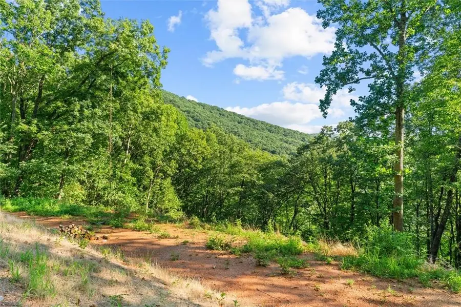Lot 5 Firetower Rd, Jasper, GA 30143 - #2