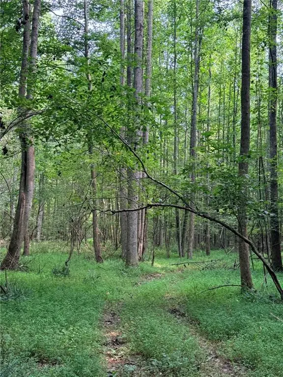 Lot 9 Henderson Mountain Road, Jasper, GA 30143 - #1