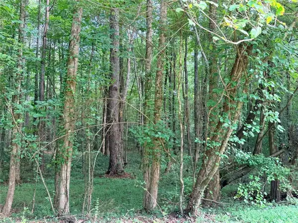 Lot 1 Pettit Road, Jasper, GA 30143