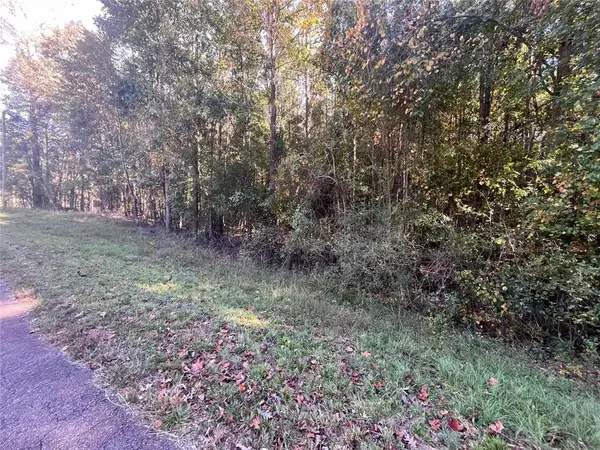 0 Jarrett Lane, Gillsville, GA 30543