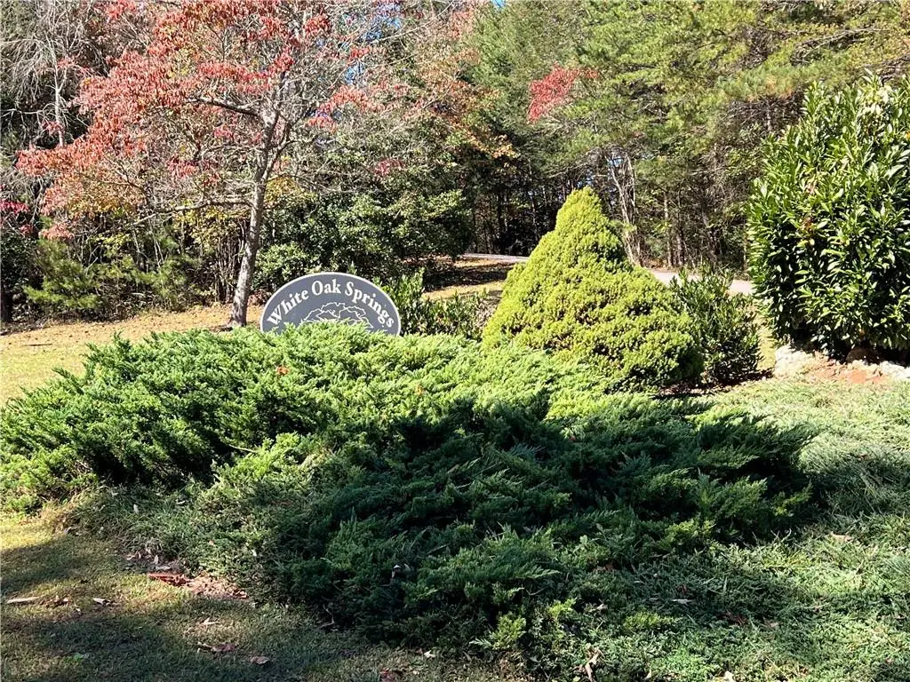 Lot 8 Travis Ridge, Blairsville, GA 30512 - #1