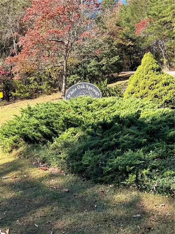 Lot 8 Travis Ridge, Blairsville, GA 30512 - #2