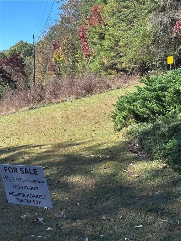 Lot 8 Travis Ridge, Blairsville, GA 30512 - #3