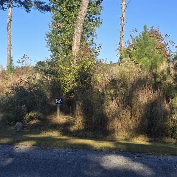 Lot 86 River Overlook Lane, Ellijay, GA 30540