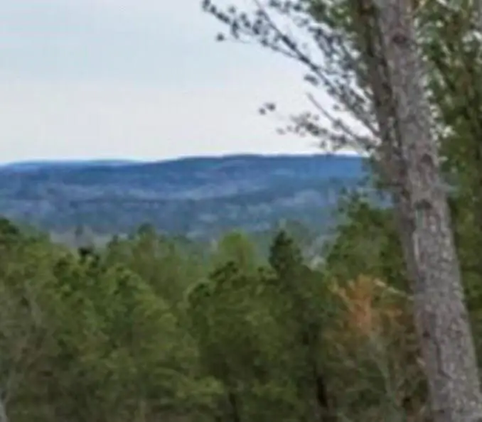 LOT103 Blalock Mountain Road, Ellijay, GA 30540 - #2