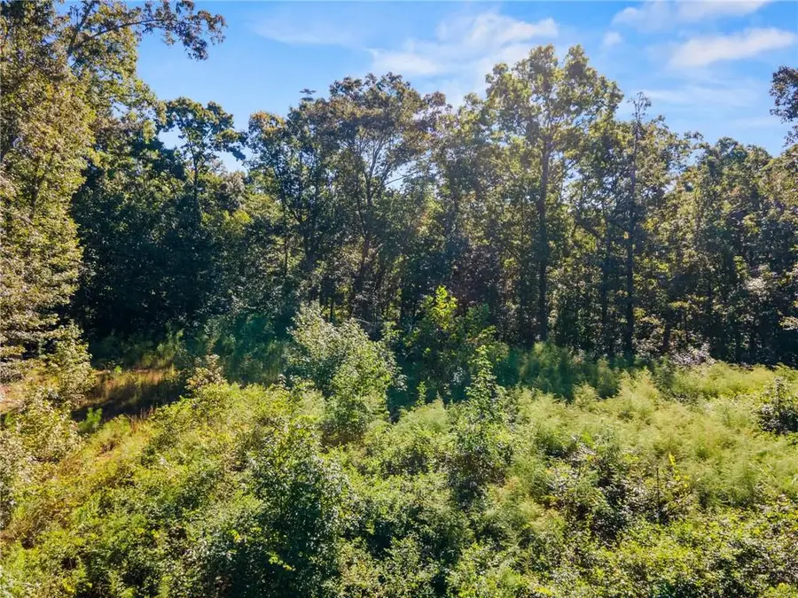 11300 Hutcheson Ferry Road, Chattahoochee Hills, GA 30268 - #3