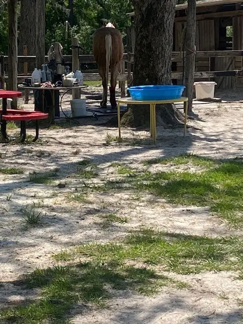 2749 Parmenter Road, Bryceville, FL 32009 - Image #2