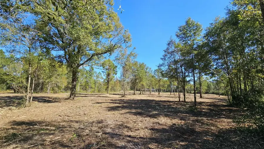 17539 Hodges Road, Hilliard, FL 32046 - Image #3