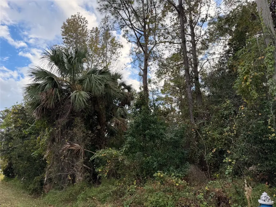 22 Westglen Lane, Palm Coast, FL 32164 - Image #3