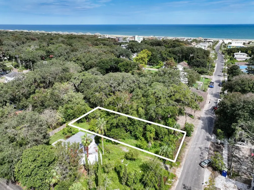 0 Lewis Street Lot 9, Fernandina Beach, FL 32034 - Image #1