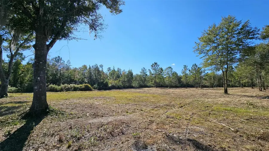 17539 Hodges Road, Hilliard, FL 32046 - Image #3