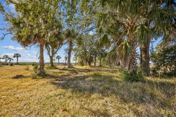 0 Woodmans Cove Lane, Jacksonville, FL 32226
