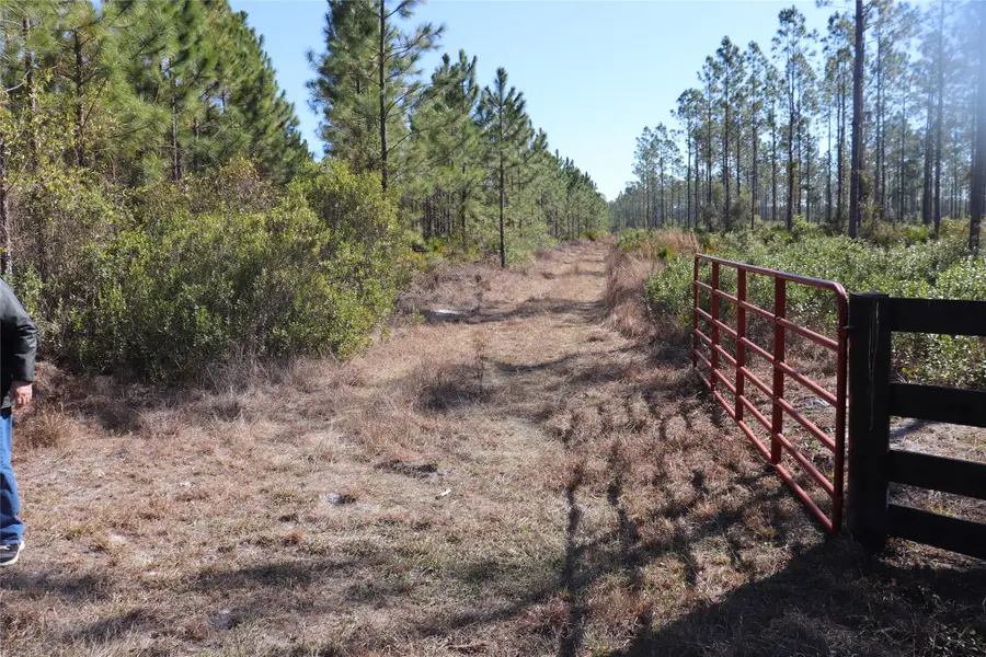 0 Georgia Street, Hilliard, FL 32046 - #3