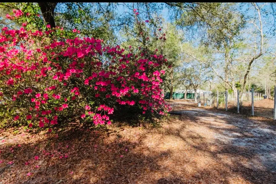 85216 Lina Road, Fernandina Beach, FL 32034 - #2