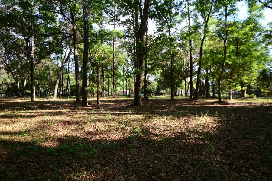 Parcel 6 Peeples Road, Yulee, FL 32097 - #3