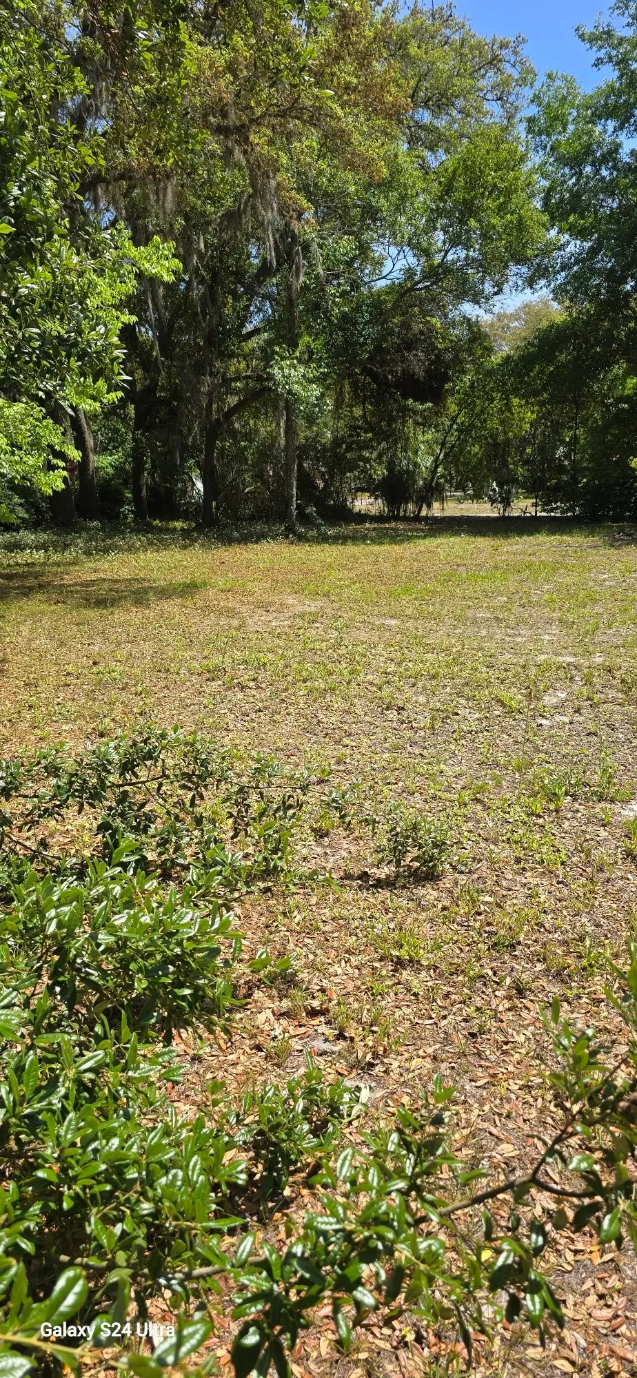 0 Fir Street, Fernandina Beach, FL 32034 - #1