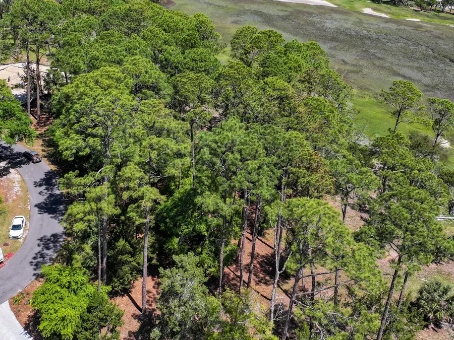75 Marsh Court, Fernandina Beach, FL 32034 - #3