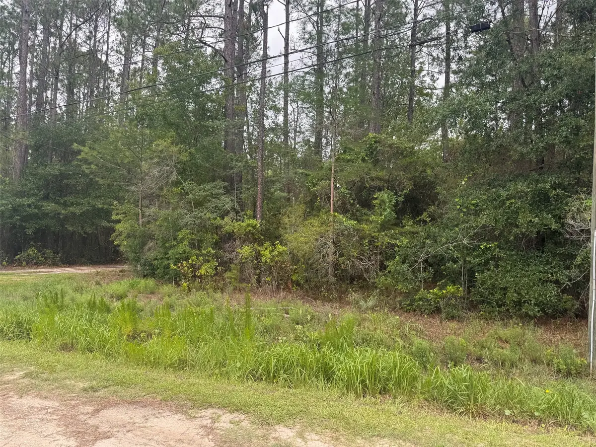 N Village Green, Jacksonville, FL 32234 - #1