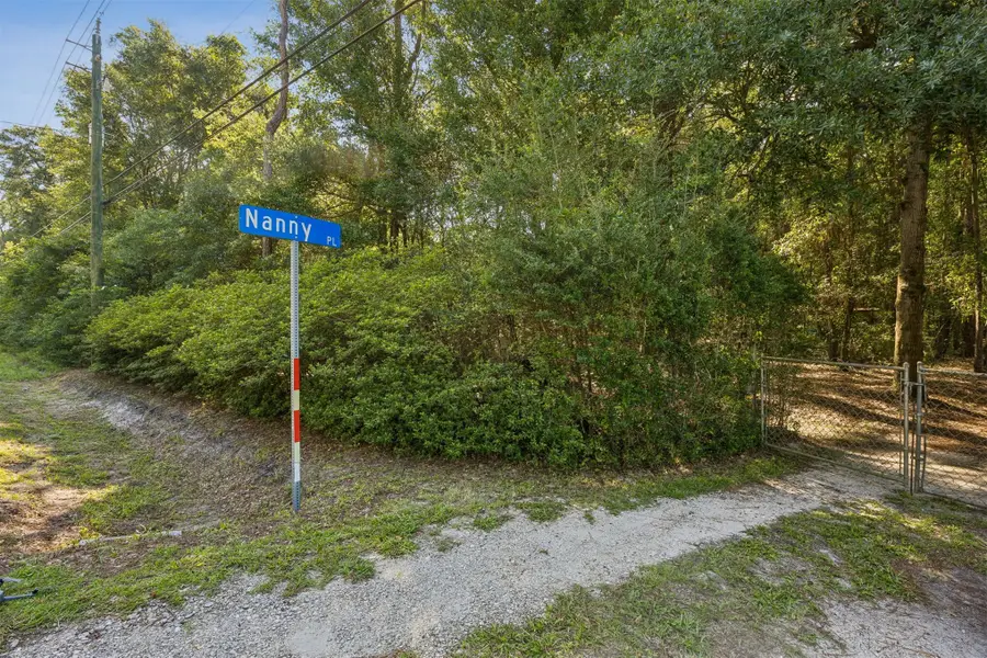 Old Nassauville Road, Fernandina Beach, FL 32034 - #3