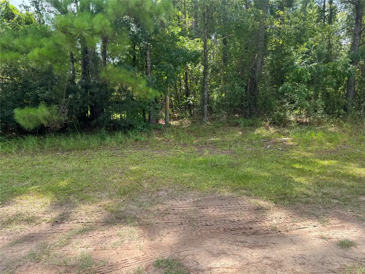 241812 Cr 121 Highway, Hilliard, FL 32046 - #1