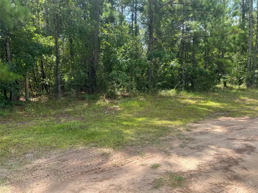 241812 Cr 121 Highway, Hilliard, FL 32046 - #3