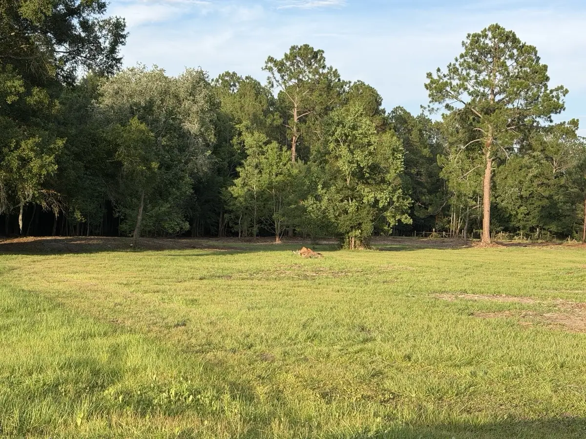 44052 Woodland Court, Callahan, FL 32011 - #1