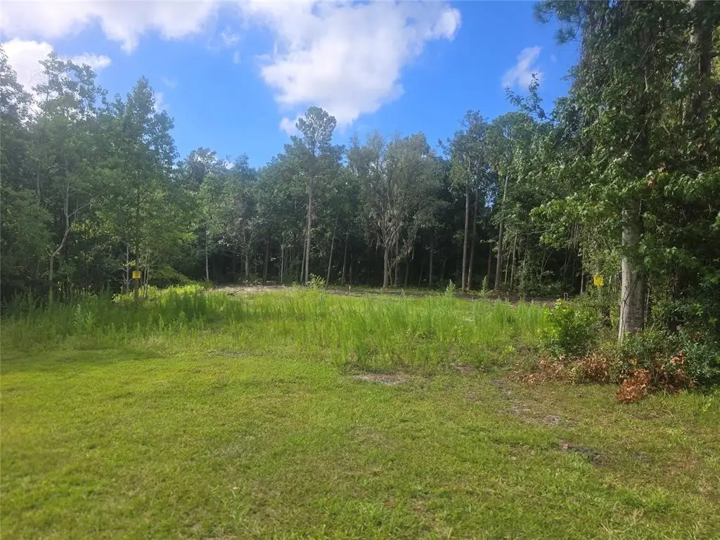 910 Someruelus Street, Fernandina Beach, FL 32034 - #1