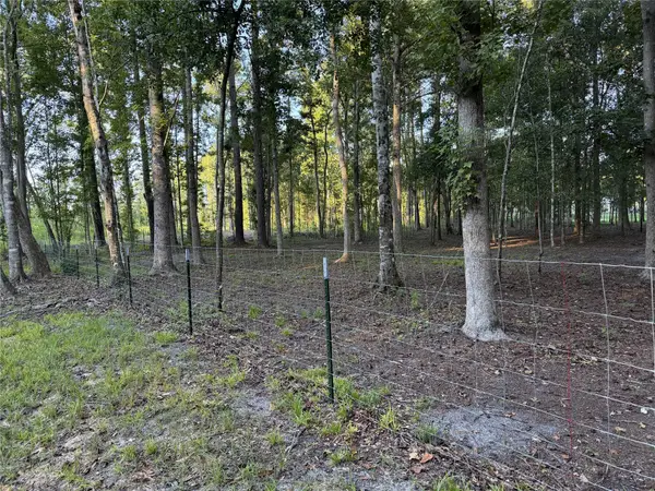 Lot 278 Little Magnolia Lane, Callahan, FL 32011