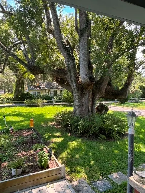 1955 Sycamore Lane, Fernandina Beach, FL 32034 - #2