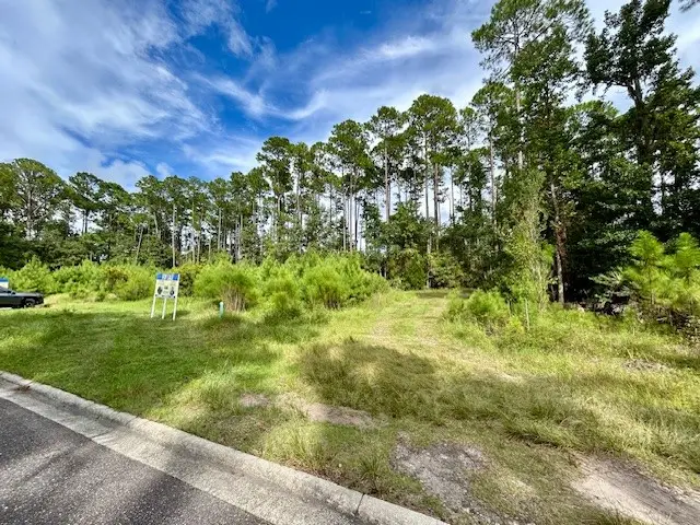 97116 Elk Creek Court, Fernandina Beach, FL 32034 - #3